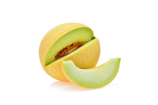 Melon Galia x 1