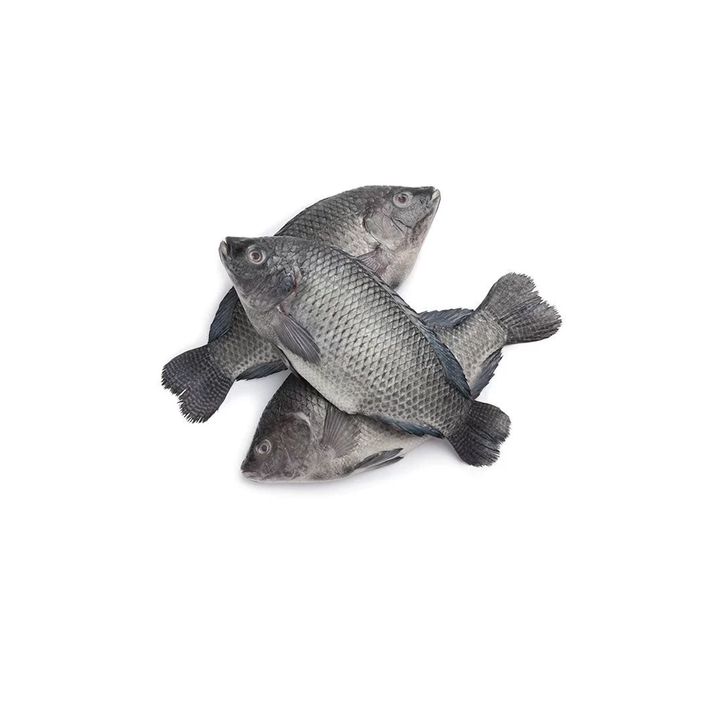 Tilapia Whole Gutted & Scaled 2.25kg