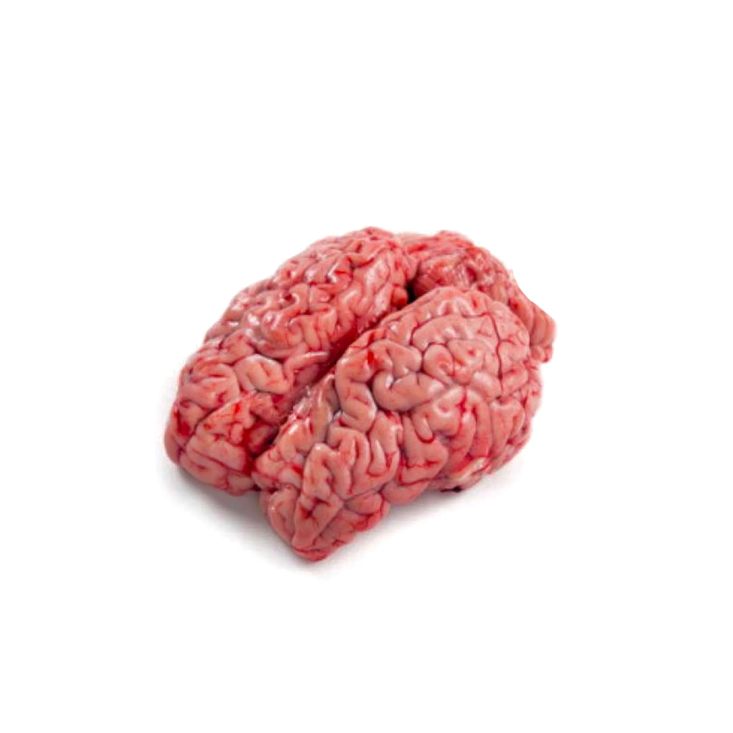 Lamb-brain (maghaz) 500g