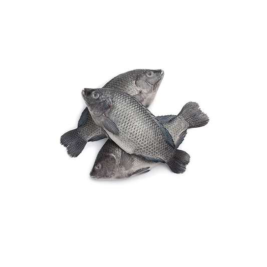 Tilapia Whole Gutted & Scaled 2.25kg