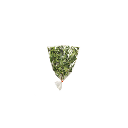 PP Curry Leaves
