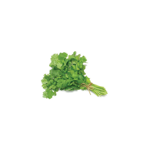 Fresh Coriender Bunch