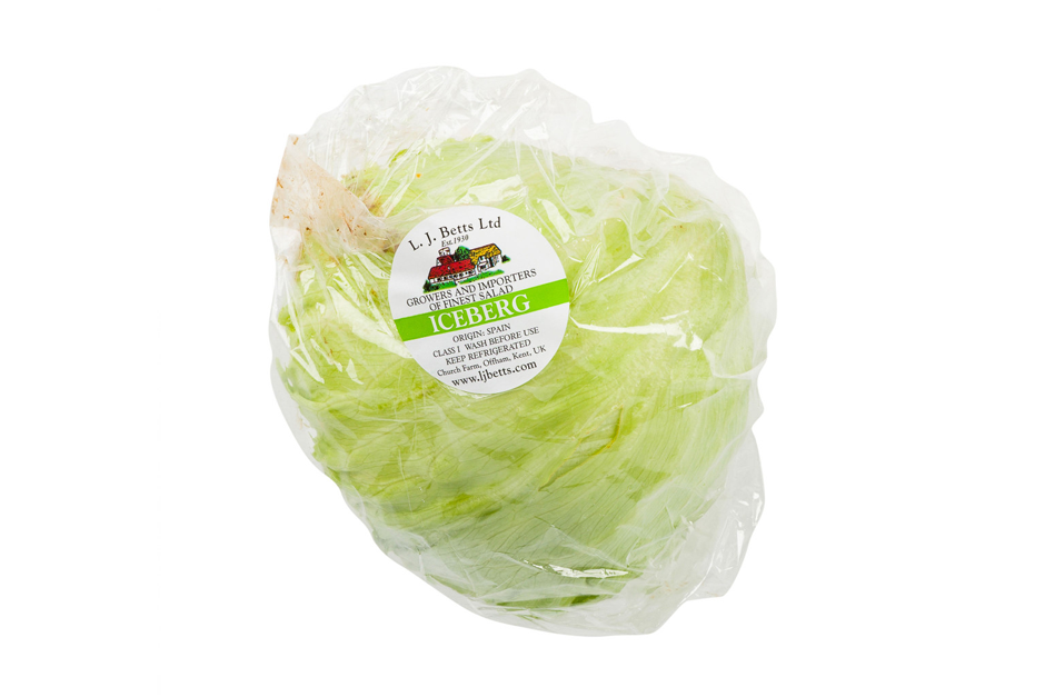 Lettuce Iceberg X1