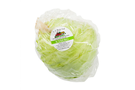 Lettuce Iceberg X1