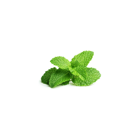 Fresh Mint