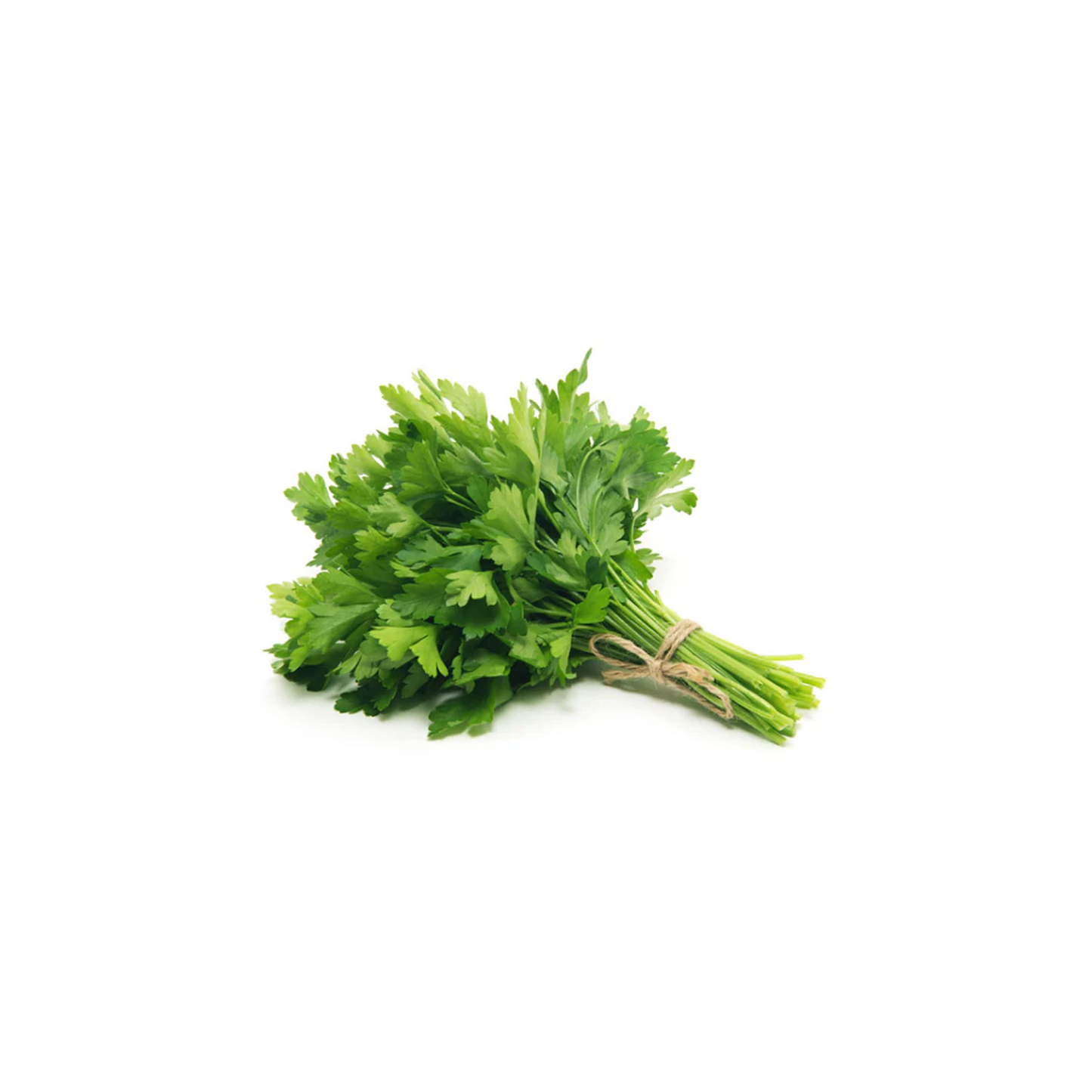 Fresh Parsley