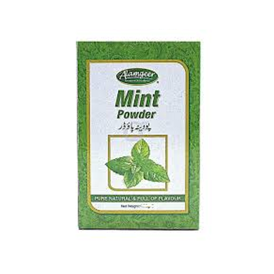 Alamgeer Mint Powder 100g